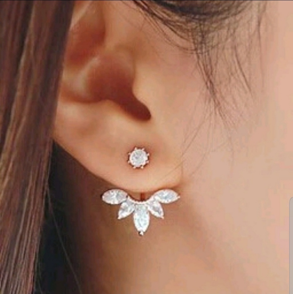 Fashion Earrings